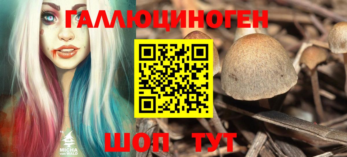 Ревда  Галлюциногенные грибы прущие грибы  Вход с VPN 